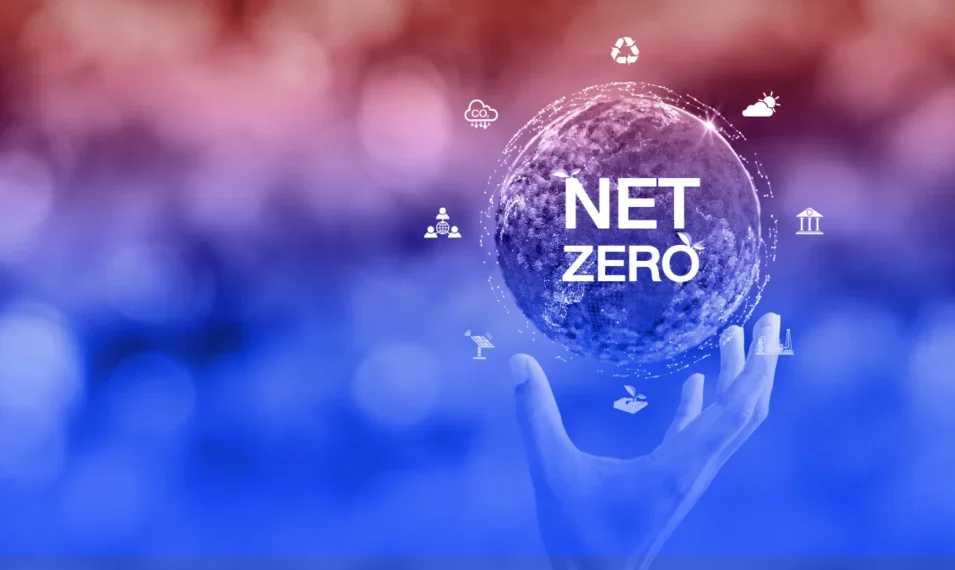 Net Zero sustainability