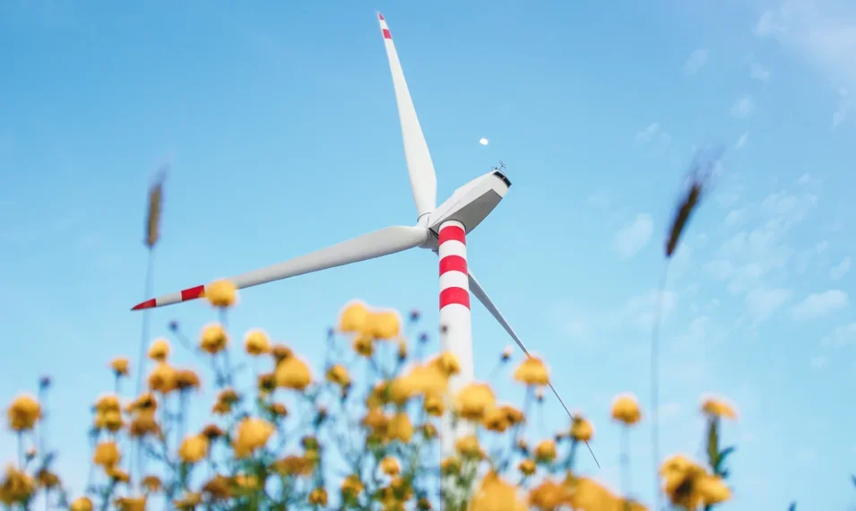 Close up of yellow flowers with a wind turbine